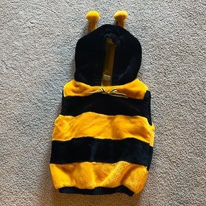 Bee costume